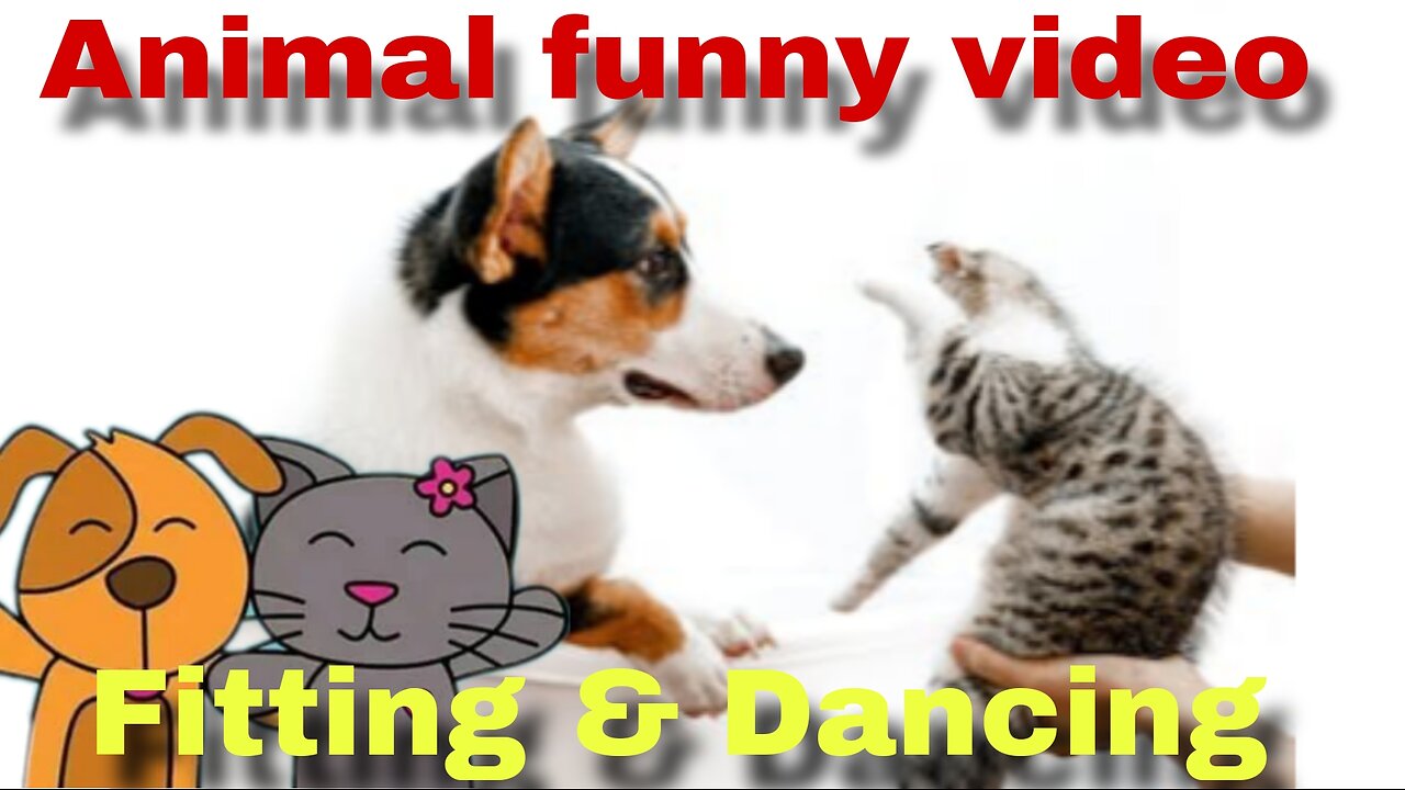 Cat Dog Masti Video || Animals Entertainment Video||Pet ||Funny video