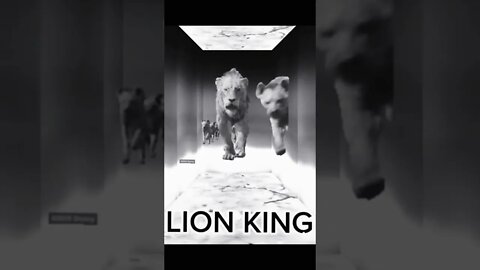 LION KING