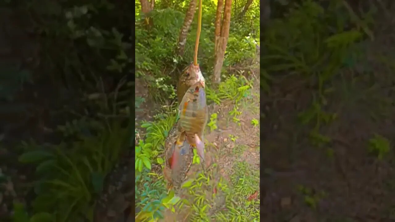 pesca finalizada 🎣#shorts