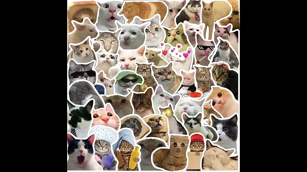 10/30/50PCS Kawaii Cat Mood PVC Graffiti Sticker Sticky Aesthetic Decorative Scrapbook DIY Child