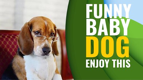 Baby Dogs 🔴 Cute and Funny Dog Videos Compilation | 30 Minutes of Funny Puppy Videos 2023