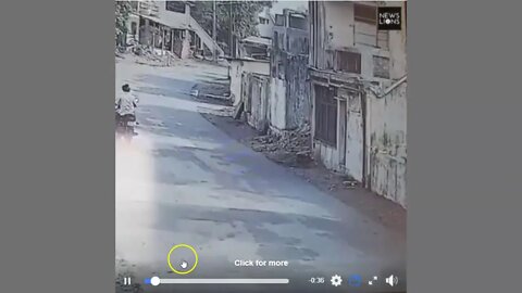 This Is One Cool Monkey Protecting His Neighborhood