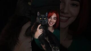 25 de março de 2022