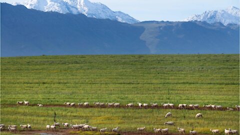 More wet weather predicted for Western Cape as Karoo region celebrates first good rain in nine years