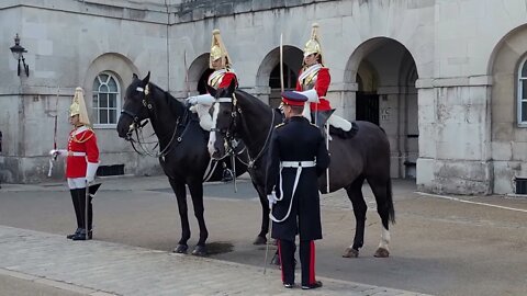 Horse takes a pee 4 o'clock inspection of the Guards #horseguardsparade