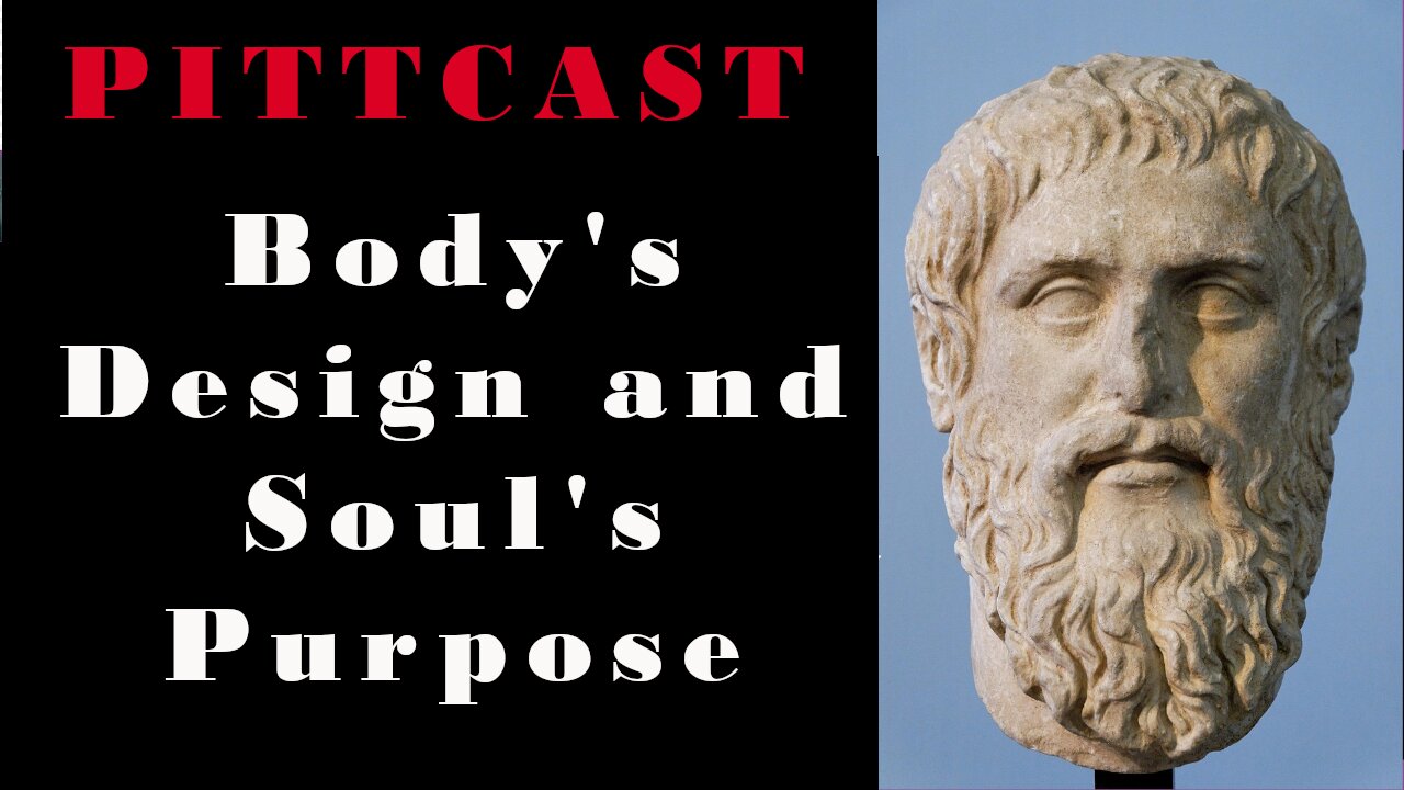 On the Creation of the Corporeal Body, and a Theory of My Own (Plato's Timaeus Pt 8)