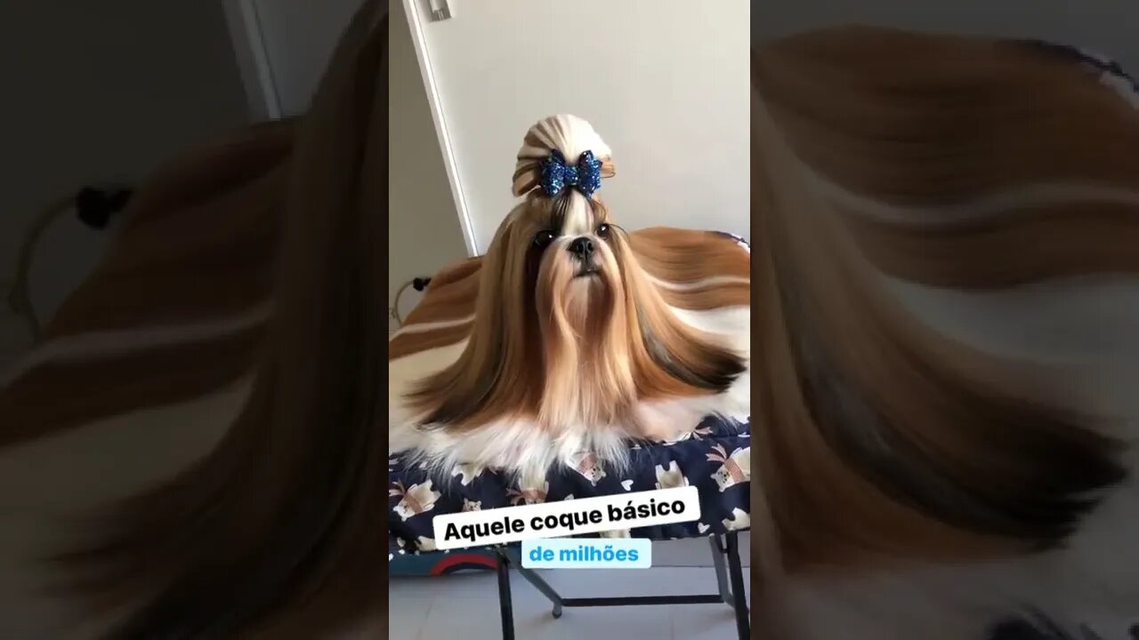 Quero ver não se apaixonar