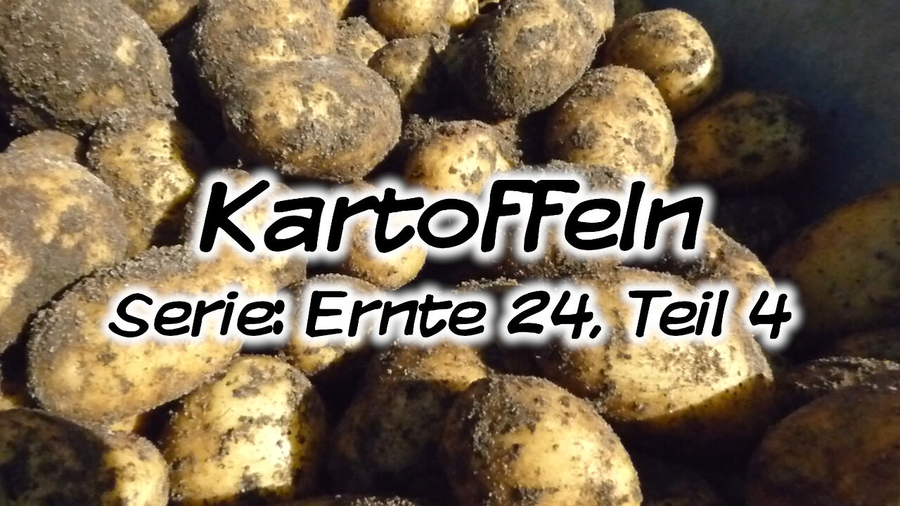 Mach's Dir. Selbst. - Kartoffeln (Serie: Ernte 24, Teil 4)