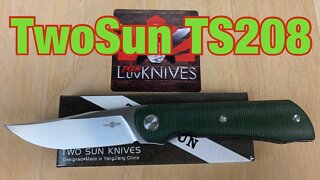 TwoSun TS208 / includes disassembly/ a really nice budget flipper in green micarta !