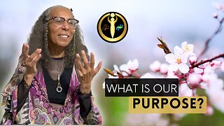 What is Our Purpose?