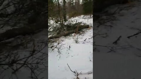 Unsolicited "Help" Goes Thankless For Good Reason