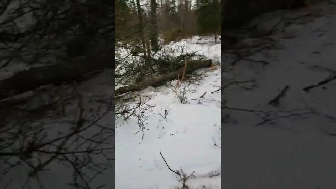 Unsolicited "Help" Goes Thankless For Good Reason