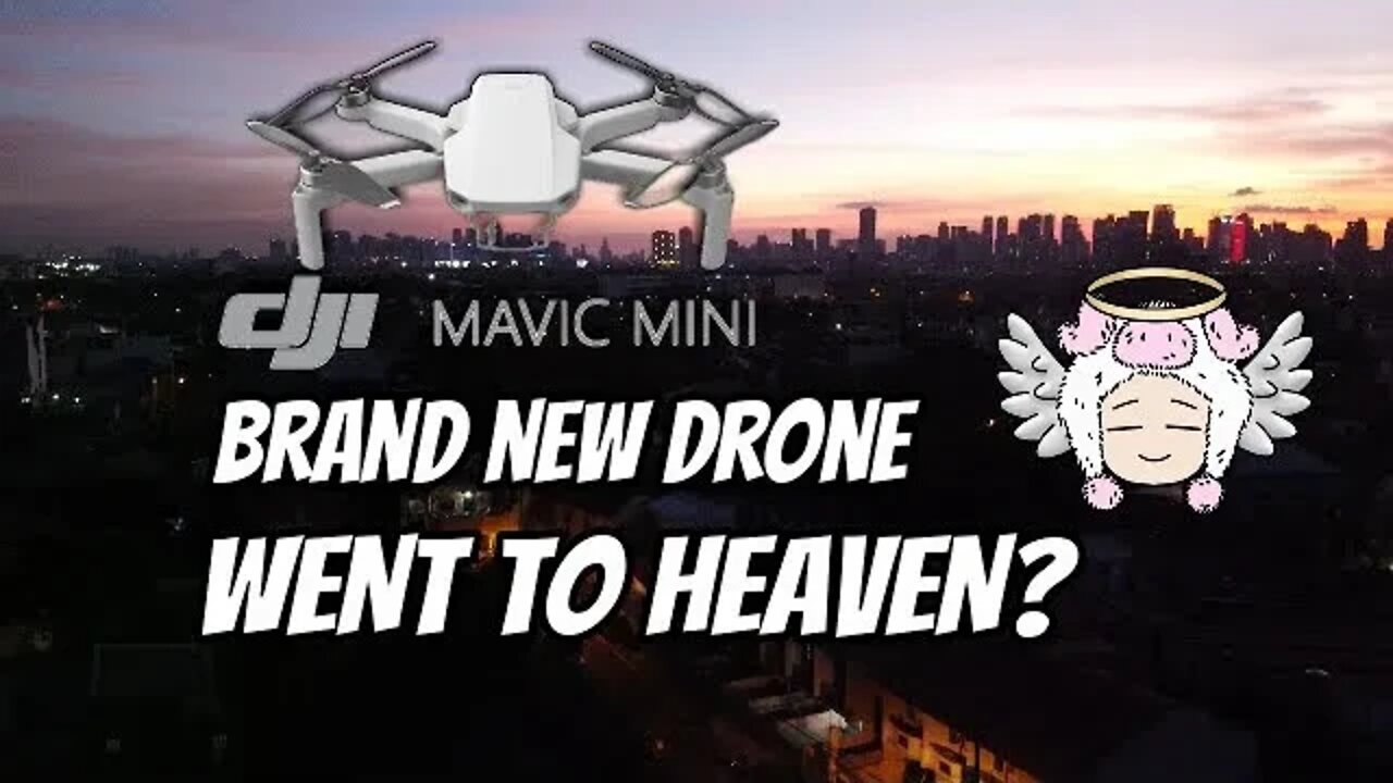 Brand New DRONE Went To HEAVEN: DJI MAVIC MINI