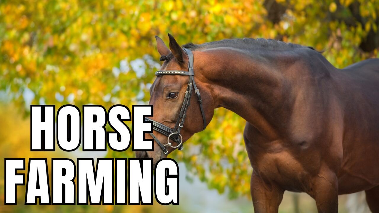 Horse Farming & Breeding: Starting a Successful Horse Breeding Business