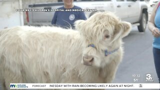 Young cancer patient in Omaha gets a special visitor to celebrate end of chemo