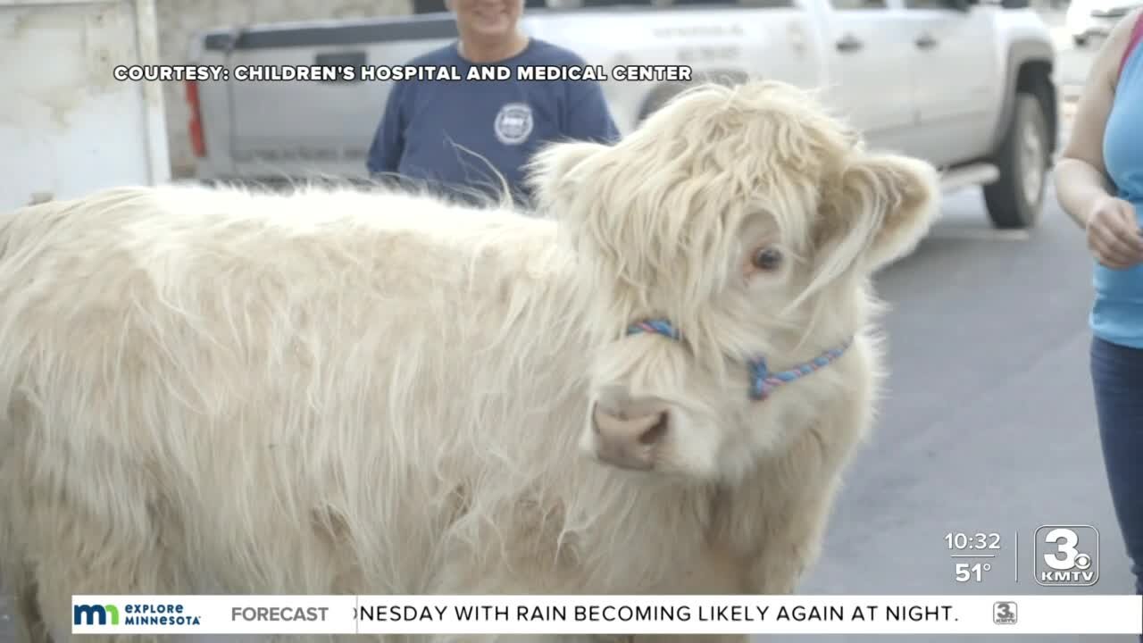 Young cancer patient in Omaha gets a special visitor to celebrate end of chemo