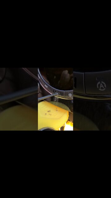 #shorts #2022 funny,prank,funjokes,dad jokes,funny memes,funny video,fun,laughing,funny animal,knock