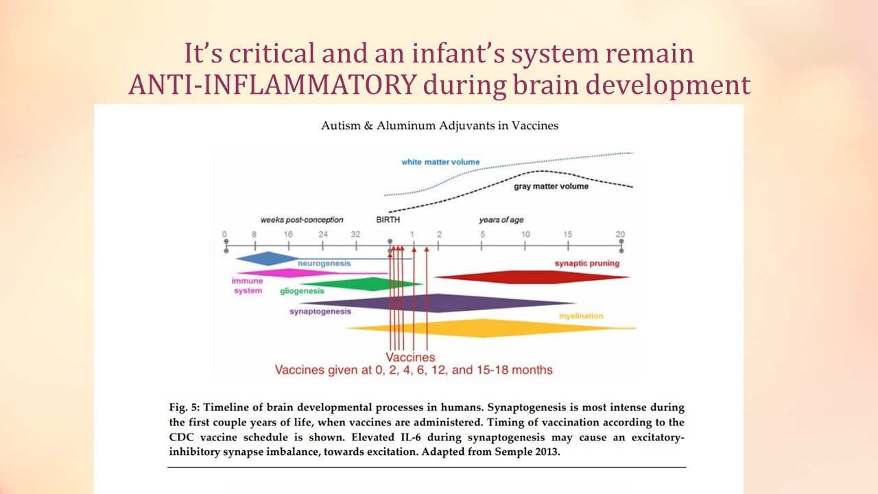 The Importance of Maintaining an Anti Inflamatory State for Infant Brain Development