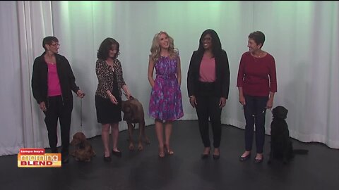 AKC Meet the Breeds | MORNING BLEND