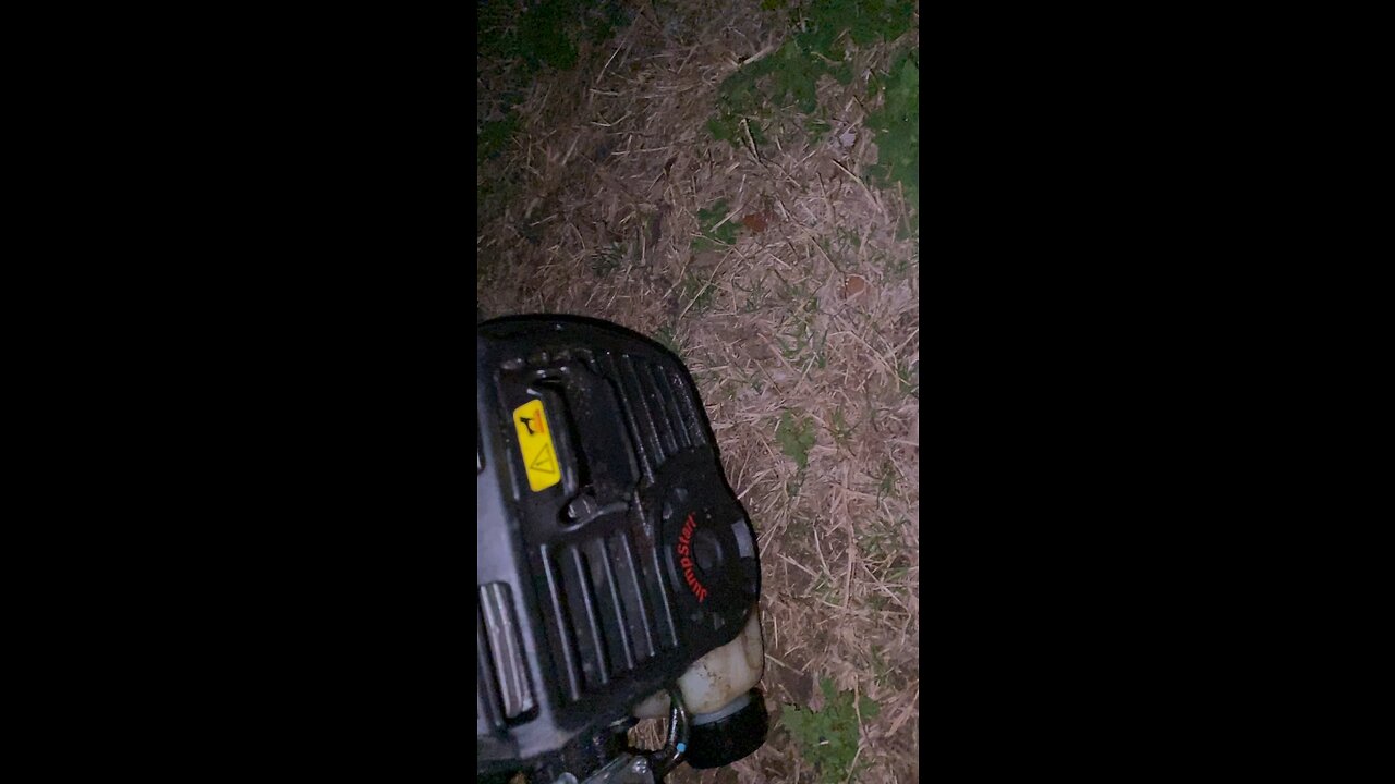 Revving my weed eater