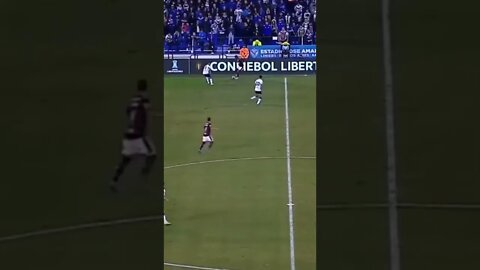 CANETA DE RODINEI 😱😱😱