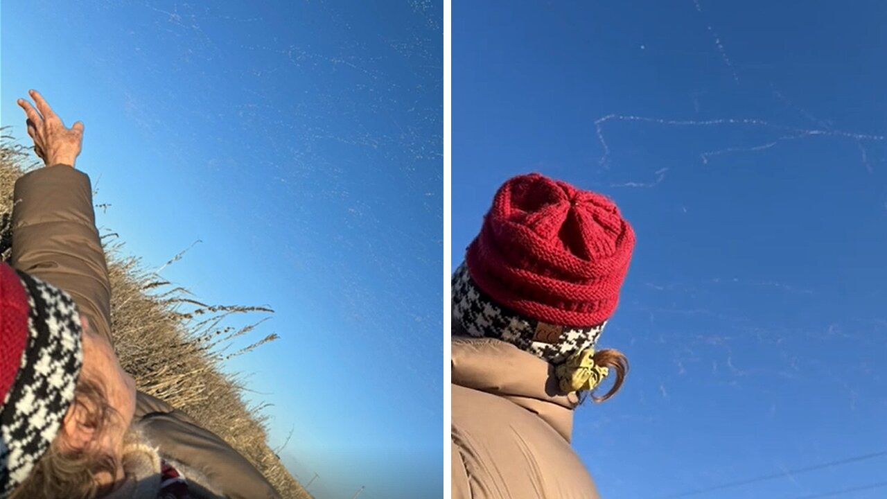 Snow Geese create a winter wonderland in the sky