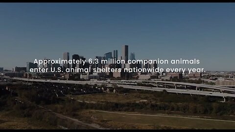 For the Animals Official Trailer