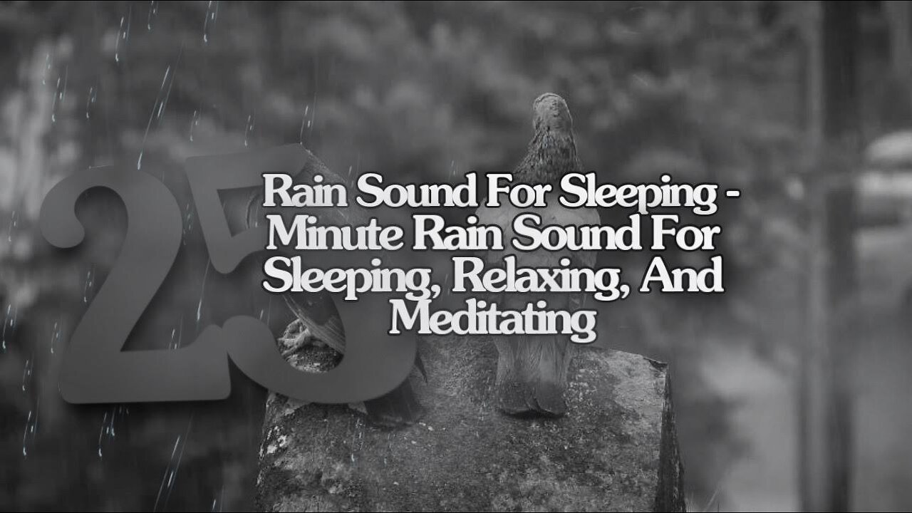 Rain Sound For Sleeping-25 Minute Relaxing Rain Sound In Forest For Sleeping,Relaxing,And Meditating