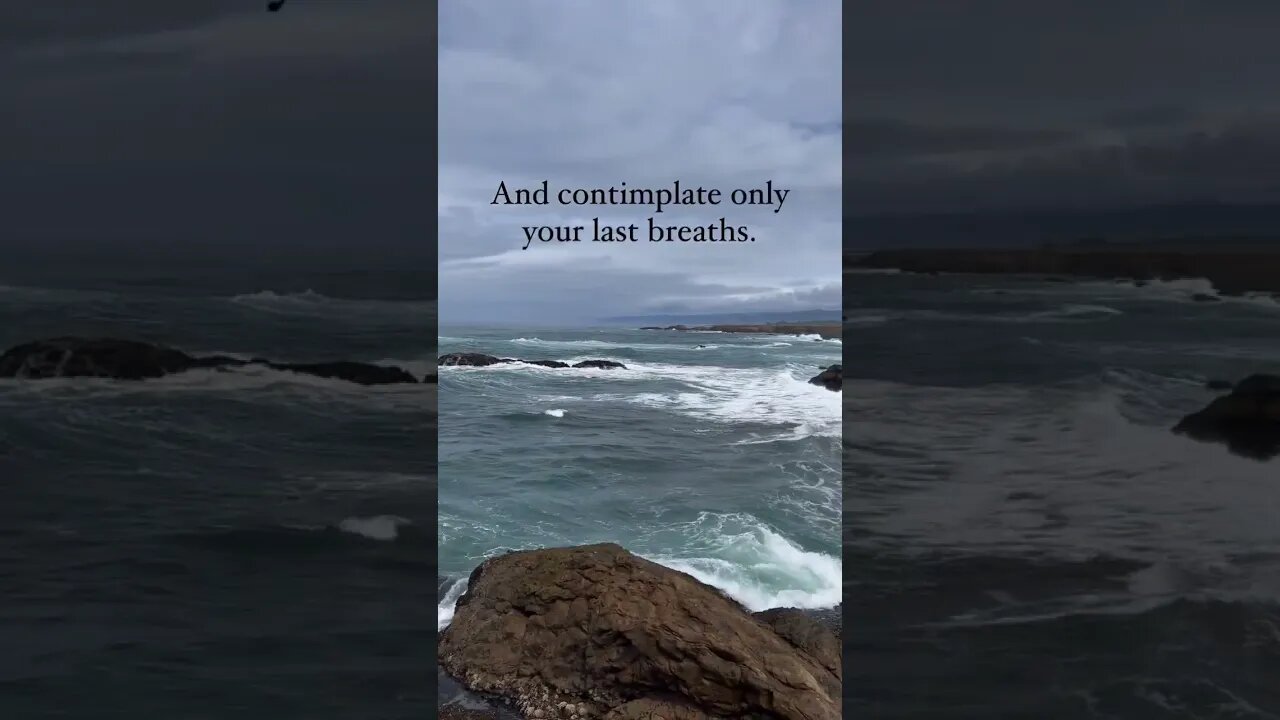 💯💯💯🪙🪙🪙