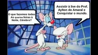 Live de 13/07/2022