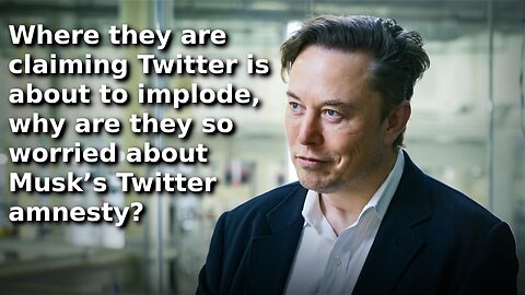 Musk’s Twitter Amnesty Will Supposedly Cause a Rise in Hate Speech, Harassment and Misinformation 🤣