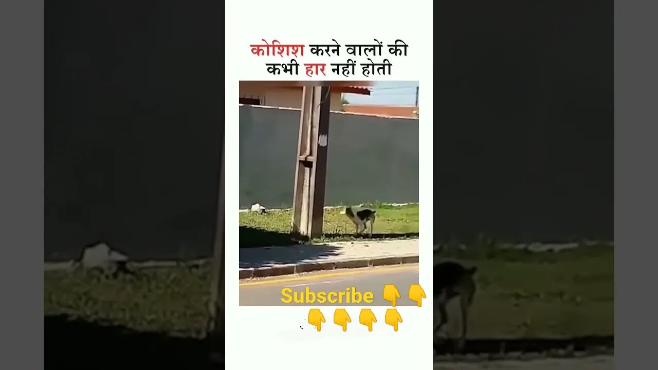 Amitabh Bachchan ji ka dialogue asafalta ek chunauti hai swikar karo 👇👌👌👌💵💸💵💸💸🎀❤️❤️❤️❤️❤️