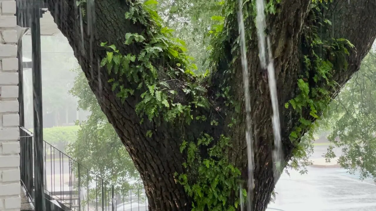 Rain on a Tin Roof During Tropical Storm (4 Hours) || Relax, Meditate, Sleep ||Natural White Noise