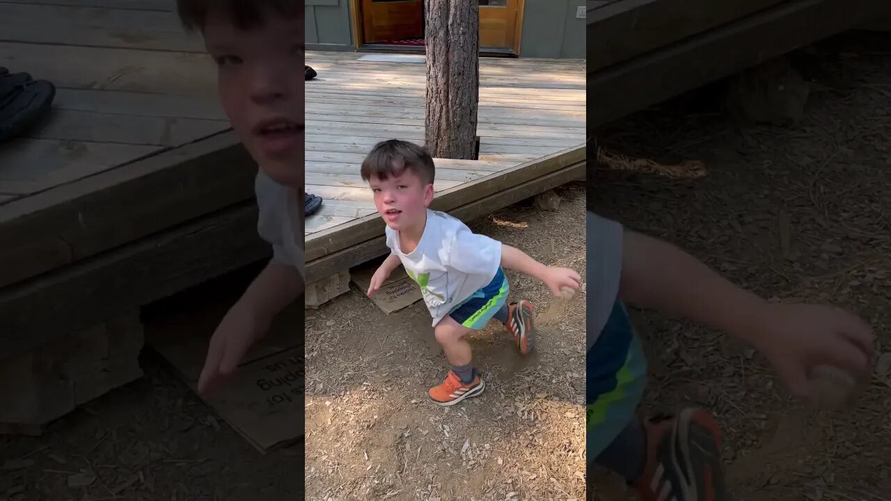 When dad throws the ball under the deck. #baseball