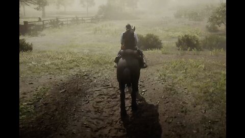 Red Dead Redemption 2 - Braithwaites Prize Horses - Caliga Hall