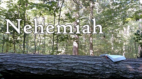 Nehemiah | The Holy Bible | Old Testament 16/39