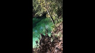 Blue Springs 101 million gallons daily