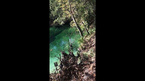 Blue Springs 101 million gallons daily