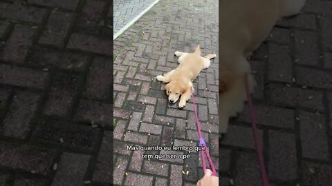 QUANDO VOCÊ PENSA EM FAZER CAMINHADA🤣🤣🤣