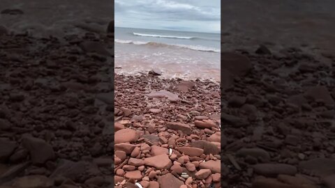 Waves Running down the Beach at Robinson's Island