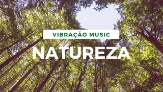 NATUREZA: MUSICA INSTRUMENTAL COM SONS DE NATUREZA