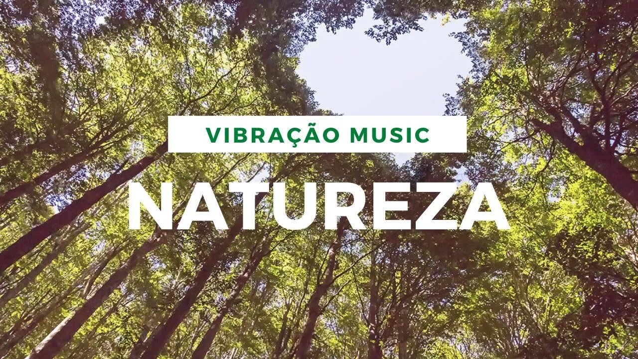 NATUREZA: MUSICA INSTRUMENTAL COM SONS DE NATUREZA