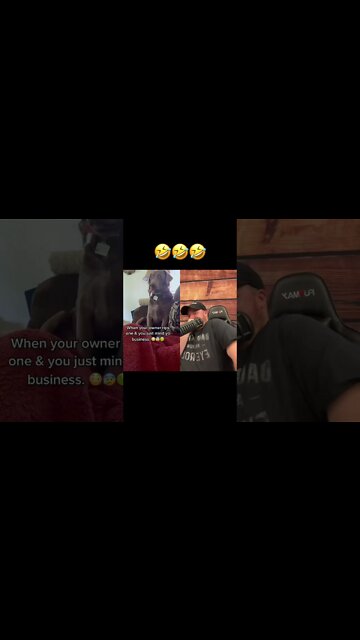 Here’s Your Dose Of REALarious…🤣🤣🤣