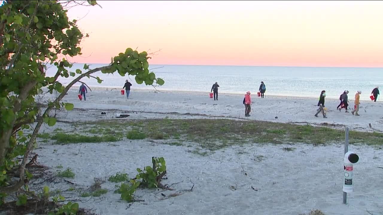 Clean up efforts with SCCF focus on getting beaches back to normal