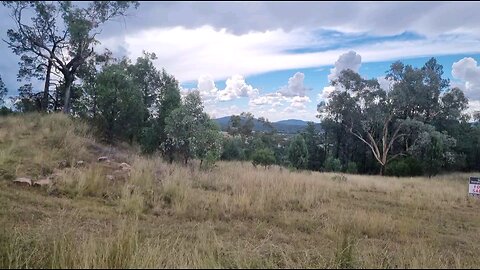 Australian Towns Quirindi