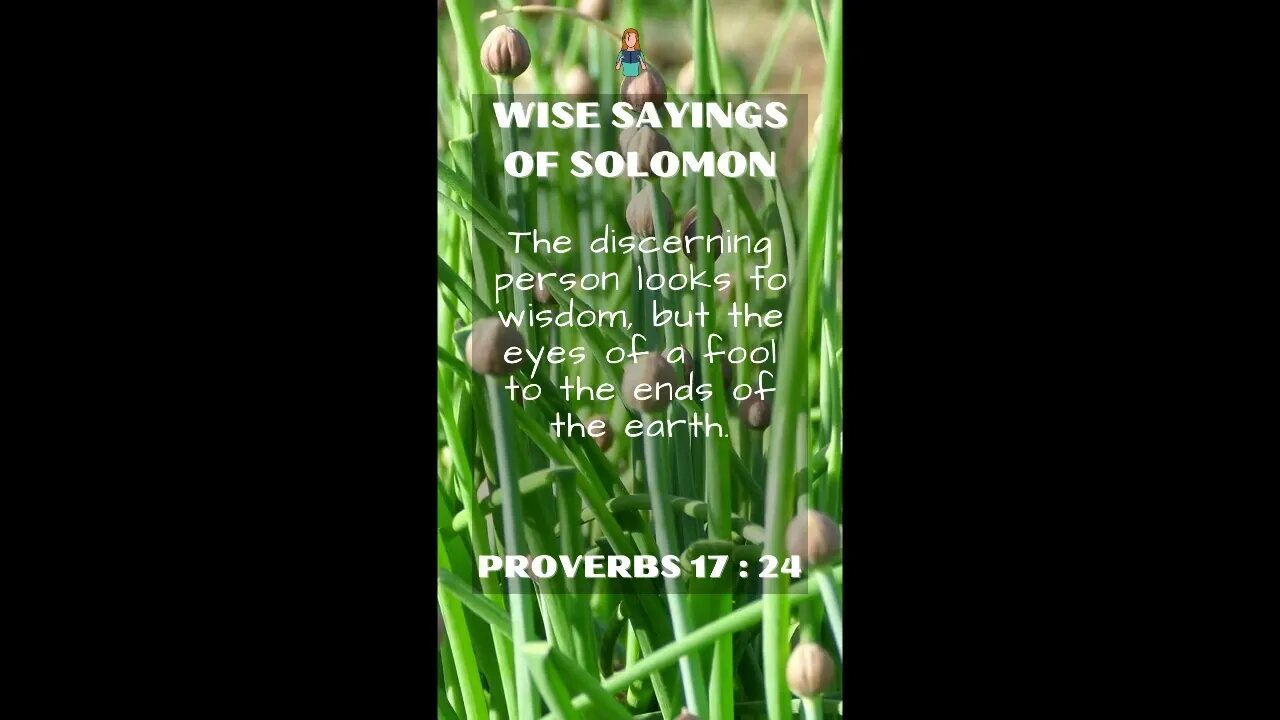 Proverbs 17:24 | NRSV Bible - Wise Sayings of Solomon