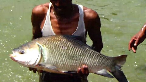 Amaizing nets fishing by pond| Traditional nets fishing video | Big fish