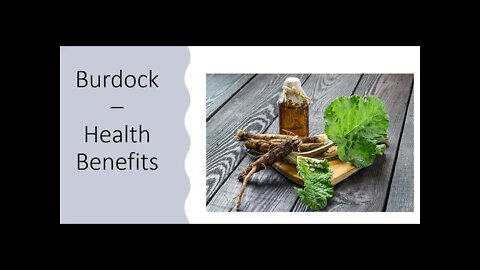 Burdock - Health Benefits