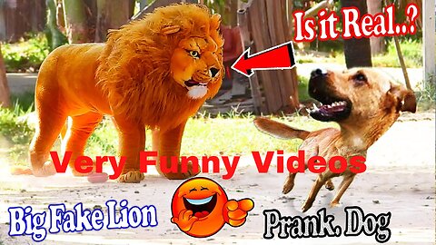 Prank Dog Funny & fake Lion