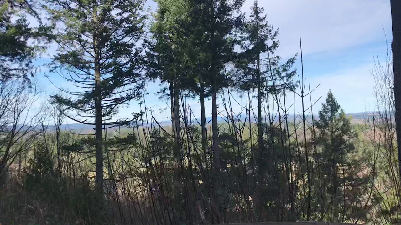 Beautiful view of Mt Hood and the Clackamas River on a warm